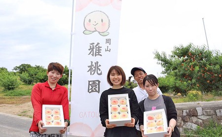 桃 2026年 先行予約 ご家庭用 岡山 白桃 5玉～9玉 2.0kg 前後 もも 岡山県産 国産 フルーツ 果物 雅桃園