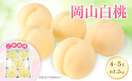 もも 2026年 先行予約 【ご家庭用】 岡山白桃 エース 4~5玉 約1.2kg (6月下旬~7月下旬出荷予定)