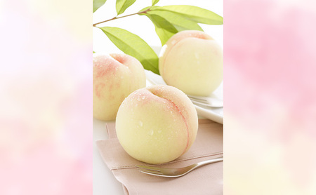 もも 2026年 先行予約 【ご家庭用】 岡山白桃 エース 4~5玉 約1.2kg (6月下旬~7月下旬出荷予定)