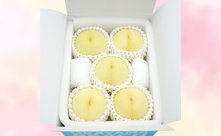 もも 2026年 先行予約 【ご家庭用】 岡山白桃 エース 4~5玉 約1.2kg (6月下旬~7月下旬出荷予定)