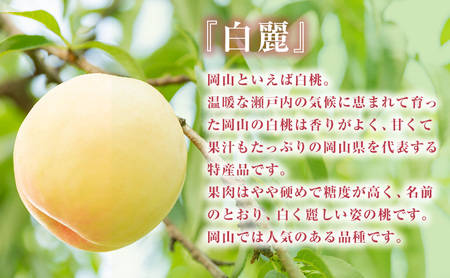 【 2026年 先行予約】 桃 岡山県産 白麗  (白桃) 約1.2kg (4～5玉)《2026年7月下旬-8月中旬頃出荷》 白桃 岡山 はくとう スイーツ フルーツ 果物 先行予約 数量限定 期間限定 岡山 里庄町 モモ もも 桃