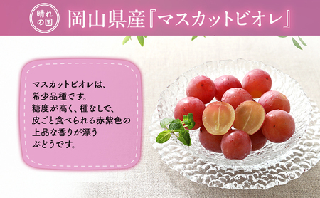 【2026年先行予約】 ぶどう 岡山県産 皮ごと 食べられる マスカット ビオレ 種無し 約2kg (3~5房) 《2026年9月下旬-10月下旬頃出荷》 葡萄 ブドウ フルーツ 果物 数量限定 期間限定 岡山 里庄町