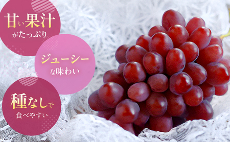 【2026年先行予約】 ぶどう 岡山県産 冬のぶどう 紫苑 ( 種無し )1房(約700g) 《2026年10月中旬-11月上旬頃出荷》 葡萄 ブドウ フルーツ 果物 数量限定 期間限定 岡山 里庄町 果物類