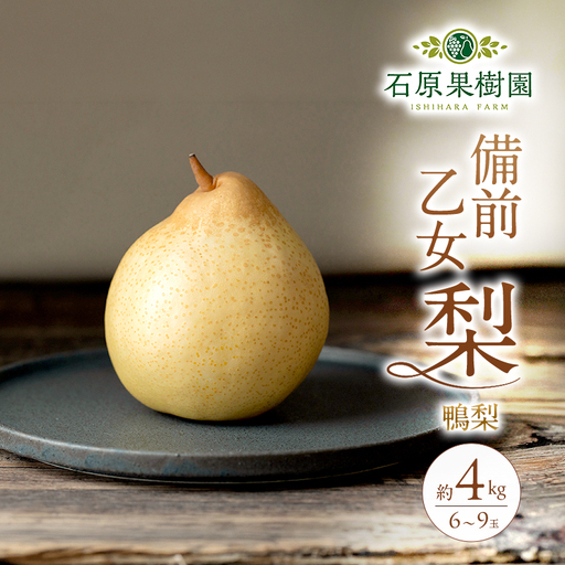 梨 2026年 先行予約 備前乙女梨（鴨梨） 6～9玉 合計約4kg【11月下旬～12月中旬頃発送】 ナシ なし 岡山県産 国産 フルーツ 果物 ギフト 石原果樹園