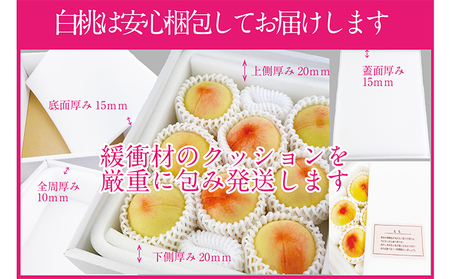 桃 2025年 先行予約 岡山の白桃 300g以上×6玉 白桃 旬 みずみずしい 晴れの国 おかやま 岡山県産 フルーツ王国 果物王国