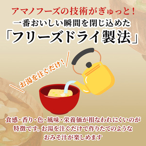 味噌汁 フリーズドライ アマノフーズ まごころ一杯定番おみそ汁10食 インスタント フリーズドライ味噌汁 送料無料 里庄町