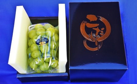 シャインマスカット あたご梨 フルーツ 定期便 2回 コース ぶどう 梨 岡山 果物 先行予約 2026年 岡山県 なし ナシ 人気 新鮮 ギフト 旬