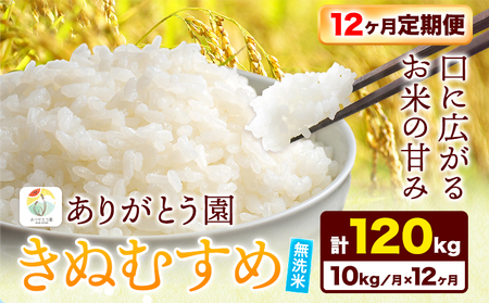 【12ヶ月定期便】令和6年産 米 岡山県産 きぬむすめ 無洗米 10kg ありがとう園《お申込み月の翌月から出荷開始》岡山県 矢掛町 無洗米 米 コメ 一等米 定期便 定期