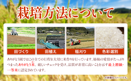 【12ヶ月定期便】令和6年産 米 岡山県産 きぬむすめ 無洗米 10kg ありがとう園《お申込み月の翌月から出荷開始》岡山県 矢掛町 無洗米 米 コメ 一等米 定期便 定期