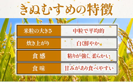 【12ヶ月定期便】令和6年産 米 岡山県産 きぬむすめ 無洗米 10kg ありがとう園《お申込み月の翌月から出荷開始》岡山県 矢掛町 無洗米 米 コメ 一等米 定期便 定期