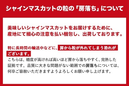 訳あり シャインマスカット 約3kg 《2024年9月中旬～11月中旬頃に出荷予定(土日祝除く)》｜ シャインマスカットシャインマスカットシャインマスカットシャインマスカットシャインマスカットシャインマスカットシャインマスカットシャインマスカットシャインマスカットシャインマスカットシャインマスカットシャインマスカットシャインマスカットシャインマスカットシャインマスカットシャインマスカットシャインマスカットシャインマスカットシャインマスカットシャインマスカットシャインマスカットシャインマスカットシャインマスカットシャインマスカットシャインマスカットシャインマスカットシャインマスカットシャインマスカットシャインマスカットシャインマスカットシャインマスカットシャインマスカットシャインマスカットシャインマスカットシャインマスカットシャインマスカットシャインマスカットシャインマスカットシャインマスカットシャインマスカットシャインマスカットシャインマスカットシャインマスカットシャインマスカットシャインマスカットシャインマスカットシャインマスカットシャインマスカットシャインマスカットシャインマスカットシャインマスカットシャインマスカットシャインマスカットシャインマスカットシャインマスカットシャインマスカットシャインマスカットシャインマスカットシャインマスカットシャインマスカットシャインマスカットシャインマスカットシャインマスカットシャインマスカットシャインマスカットシャインマスカットシャインマスカットシャインマスカットシャインマスカットシャインマスカットシャインマスカットシャインマスカットシャインマスカットシャインマスカットシャインマスカットシャインマスカットシャインマスカットシャインマスカットシャインマスカットシャインマスカットシャインマスカットシャインマスカットシャインマスカットシャインマスカットシャインマスカットシャインマスカットシャインマスカットシャインマスカットシャインマスカットシャインマスカットシャインマスカットシャインマスカットシャインマスカットシャインマスカットシャインマスカットシャインマスカットシャインマスカットシャインマスカットシャインマスカットシャインマスカットシャインマスカットシャインマスカットシャインマスカットシャインマスカットシャインマスカット