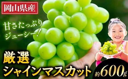 厳選シャインマスカット約600g《9月上旬-11月上旬出荷》