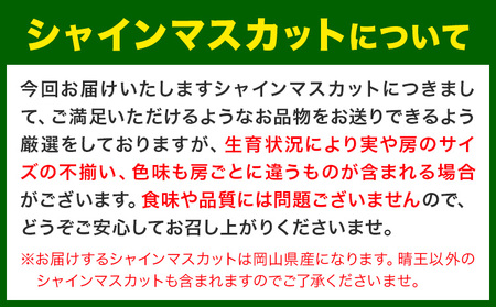 厳選シャインマスカット約600g《9月上旬-11月上旬出荷》