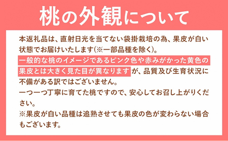 桃 岡山県産 岡山の桃 約700g 《2025年6月下旬-9月上旬頃出荷》  | 岡山県の桃ももモモ岡山の桃矢掛の桃訳あり桃わけあり桃