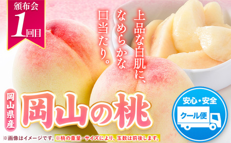 人気くだもの定期便《7月上旬-10月末頃出荷》フルーツ定期便