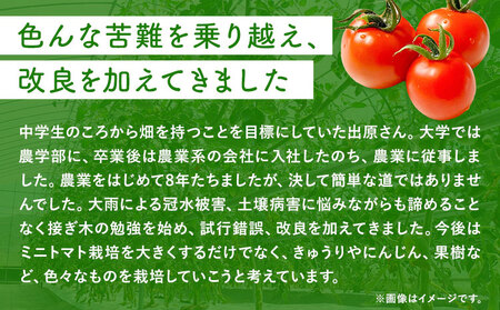ミニトマト 約1kg 出原農園 《1月上旬-5月末頃出荷》 岡山県 矢掛町 野菜 ミニトマト もぎたて 新鮮 st-p