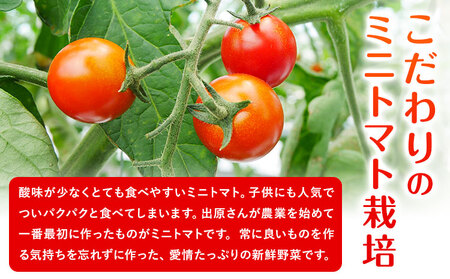 ミニトマト 約1kg 出原農園 《1月上旬-5月末頃出荷》 岡山県 矢掛町 野菜 ミニトマト もぎたて 新鮮 st-p
