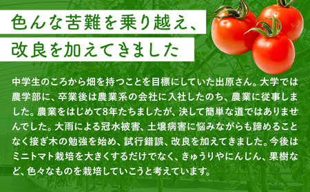 ミニトマト 2kg 出原農園 《1月上旬-5月末頃出荷》 岡山県 矢掛町 野菜 ミニトマト もぎたて 新鮮 st-p
