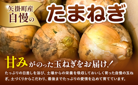 訳あり 玉ねぎ 約10kg 《5月末～7月中旬頃に出荷予定》｜岡山県 矢掛町産玉ねぎ