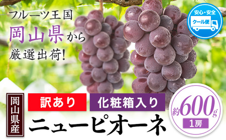訳あり ニューピオーネ 約600g《8月下旬～10月中旬頃出荷》ピオーネ