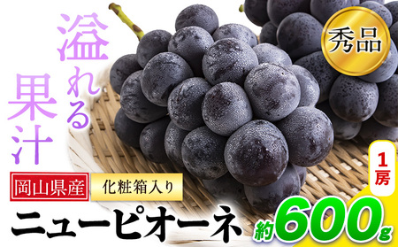 秀品 ニューピオーネ 約600g 1房 《8月下旬-10月中旬頃出荷》｜ピオーネ ニューピオーネ 岡山県産ピオーネ