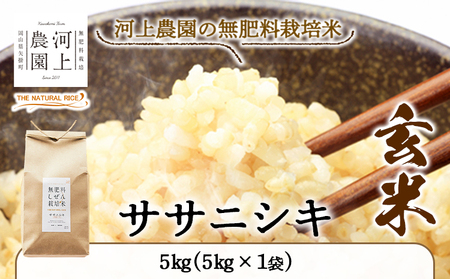 令和6年産 無肥料栽培ササニシキ 玄米 5kg(5kg×1袋) 河上農園 岡山県矢掛町《30日以内に出荷予定(土日祝除く)》｜ 農薬・化学肥料不使用  お米 コメ こめ ササニシキ 玄米 | 岡山県矢掛町 | ふるさと納税サイト「ふるなび」