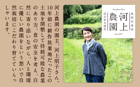 令和6年産 無肥料栽培ササニシキ 玄米 5kg(5kg×1袋) 河上農園 岡山県矢掛町《30日以内に出荷予定(土日祝除く)》｜ 農薬・化学肥料不使用  お米 コメ こめ ササニシキ 玄米 | 岡山県矢掛町 | ふるさと納税サイト「ふるなび」