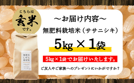 令和5年産 無肥料栽培ササニシキ 玄米 5kg(5kg×1袋) 河上農園 岡山県矢掛町《30日以内に出荷予定(土日祝除く)》｜ 農薬・化学肥料不使用 お米 コメ こめ ササニシキ 玄米 お米 コメ こめ ササニシキ 玄米 お米 コメ こめ ササニシキ 玄米 お米 コメ こめ ササニシキ 玄米 お米 コメ こめ ササニシキ 玄米 お米 コメ こめ ササニシキ 玄米 お米 コメ こめ ササニシキ 玄米 お米 コメ こめ ササニシキ 玄米 お米 コメ こめ ササニシキ 玄米 お米 コメ こめ ササニシキ 玄米 お米 コメ こめ ササニシキ 玄米 お米 コメ こめ ササニシキ 玄米 お米 コメ こめ ササニシキ 玄米 お米 コメ こめ ササニシキ 玄米 お米 コメ こめ ササニシキ 玄米 お米 コメ こめ ササニシキ 玄米 お米 コメ こめ ササニシキ 玄米 お米 コメ こめ ササニシキ 玄米 お米 コメ こめ ササニシキ 玄米 お米 コメ こめ ササニシキ 玄米 お米 コメ こめ ササニシキ 玄米 お米 コメ こめ ササニシキ 玄米