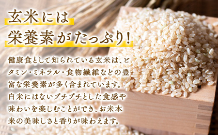 令和6年産 無肥料栽培ササニシキ 玄米 5kg(5kg×1袋) 河上農園 岡山県矢掛町《30日以内に出荷予定(土日祝除く)》｜ 農薬・化学肥料不使用  お米 コメ こめ ササニシキ 玄米 | 岡山県矢掛町 | ふるさと納税サイト「ふるなび」