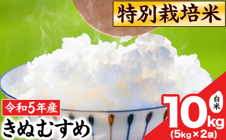 令和4年産 特別栽培米 きぬむすめ10kg 5kg×2袋 岡山県産 白米 精米 単