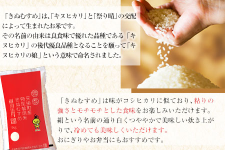 令和4年産 特別栽培米 きぬむすめ10kg 5kg×2袋 岡山県産 白米 精米 単