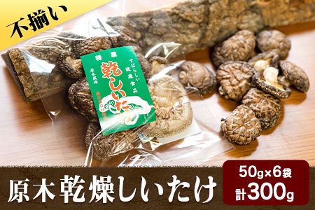 やかげの「原木乾燥しいたけ」 不揃い 備中南森林組合 岡山県矢掛産《60日以内に出荷予定(土日祝除く)》