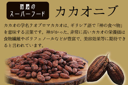神の食べ物 カカオニブL 400g 石挽カカオissai 岡山県矢掛町 スーパーフード カカオ豆 スイーツ デザート《30日以内に出荷予定(土日祝除く)》 st-p
