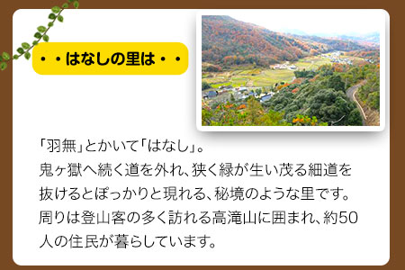 窯焼きピザづくり体験チケット 1名様 桃源郷はなしの里 岡山県矢掛町《30日以内に出荷予定(土日祝除く)》