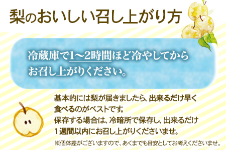 先行予約 産地直送 愛宕梨 約4kg (4~6玉前後) 水車の里フルーツトピア 期間限定 岡山県 矢掛町 なし 果物 スイーツ フルーツ デザート《12月上旬-2月上旬頃出荷》