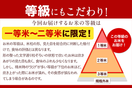 令和6年産 岡山県の2種食べ比べセット【きぬむすめ×ひのひかり】《30日以内に出荷予定(土日祝除く)》10kg 以上 きぬむすめ ひのひかり 米 コメ