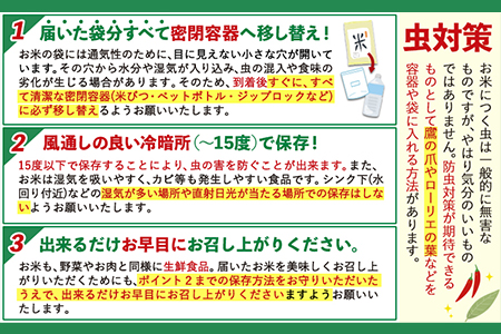 令和6年産 岡山県の2種食べ比べセット【きぬむすめ×ひのひかり】《30日以内に出荷予定(土日祝除く)》10kg 以上 きぬむすめ ひのひかり 米 コメ