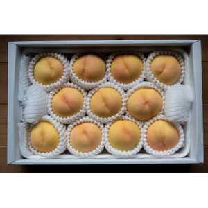 岡山県産「清水白桃」約1kg|2026年7月下旬以降順次発送予定【1516926】