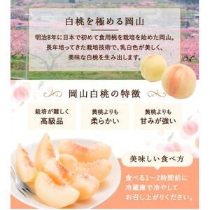 【2026年発送】岡山県産　白桃 6玉 (1.5kg以上) 等級:ロイヤル 化粧箱入り【配送不可地域：離島・北海道・沖縄県】【1546675】