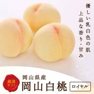【2026年発送】岡山県産　白桃 8玉(2kg以上) 等級:ロイヤル 化粧箱入り 【配送不可地域：離島・北海道・沖縄県】【1546676】