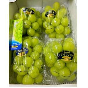 岡山県産 シャインマスカット『晴王』3～5房 (約2kg)【配送不可地域：離島】【1546681】