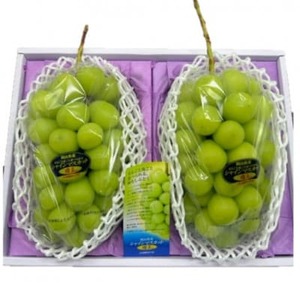 岡山県産 シャインマスカット『晴王』2房(1房480g以上) 化粧箱入り【配送不可地域：離島】【1546682】