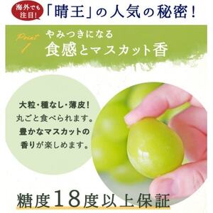 岡山県産 シャインマスカット『晴王』1房(800g以上) 化粧箱入り【配送不可地域：離島】【1546683】