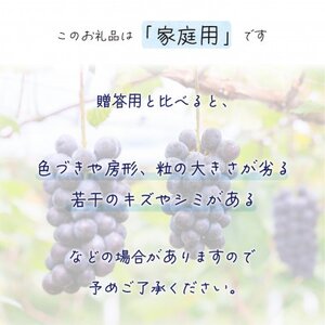 【2026年先行受付】岡山　花笑み農園の『BKシードレス』家庭用　約2kg(3～6房)　B-2家【配送不可地域：離島】【1650768】