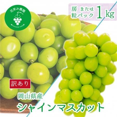【2026年先行受付】岡山　花笑み農園『訳ありシャインマスカット』1kg　WS-1【配送不可地域：離島】【1650780】