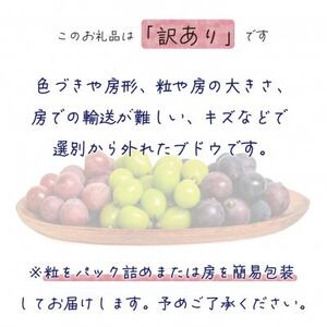 【2026年先行受付】岡山　花笑み農園のブドウ『訳あり3種以上MIX』1kg　W3M-1【配送不可地域：離島】【1650788】