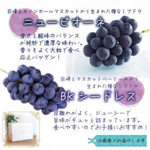 【2026年先行受付】岡山　花笑み農園の『ニューピオーネ＆BKシードレス』1kg(2房)PB-1【配送不可地域：離島】【1693661】