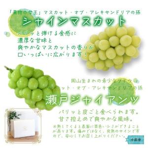 【2026年先行受付】岡山　花笑み農園の『瀬戸ジャイアンツ＆シャインマスカット』1kg　GS-1【配送不可地域：離島】【1693698】