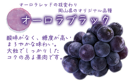 【2026年先行受付】岡山 花笑み農園のブドウ『オーロラブラック』1kg(2房) A-1【配送不可地域:離島】【1693703】