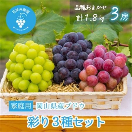 【2026年先行受付】岡山　花笑み農園のブドウ『彩り3種セット』家庭用　1.8kg(3房)3M-2家【配送不可地域：離島】【1695415】